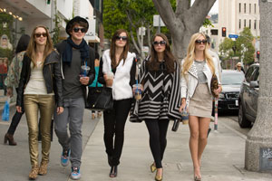 The bling ring de Sofia Coppola