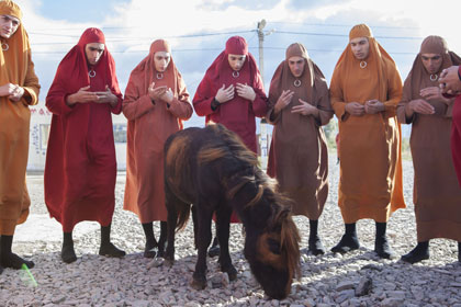 Le chevalin, vulgaire poney adulé par les dévôts de la Grande Bubunerie