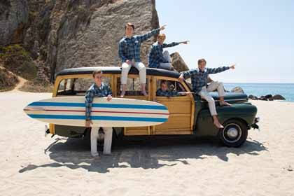 Les Beach Boys au temps de leur succès