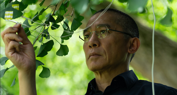 Silent Friend d'Ildiko Enyedi - cine-woman.fr