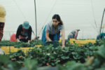 Photo 3 © LUMEN – ATELIER - MONT FLEURI PRODUCTION - FASTEN FILMS - MIRAGE - PRAESENS-FILM PRODUCTION AG - FRANCE 3 CINÉMA