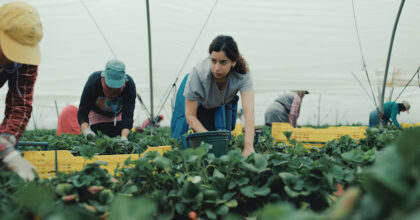 Photo 3 © LUMEN – ATELIER - MONT FLEURI PRODUCTION - FASTEN FILMS - MIRAGE - PRAESENS-FILM PRODUCTION AG - FRANCE 3 CINÉMA