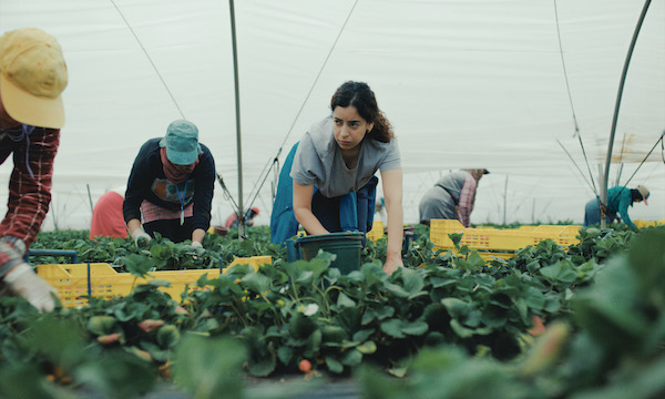 Les Fraises de Laïla Marrakchi - cine-woman.fr